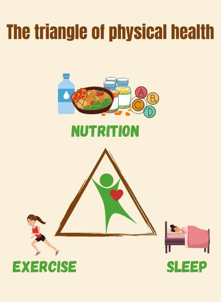 Illustration of the health triangle, showcasing mental, physical, and social health as pillars of holistic wellness and happiness.